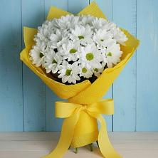 Букет цветов из:  Хризантемы в Рогачево