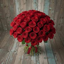 Букет 55 Красных роз Фридом #REPLACE_PRED# Рогачево