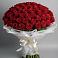 Букет 101 Красная роза Блэк Мэджик в Рогачево