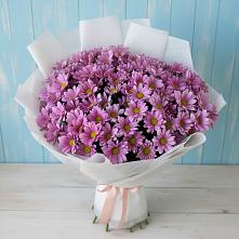Букет цветов из:  Хризантемы в Рогачево