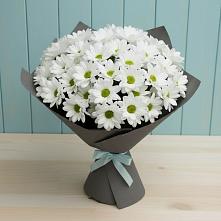 Букет цветов из:  Хризантемы #REPLACE_PRED# Рогачево