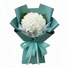Букет цветов из:  Гортензия в Рогачево